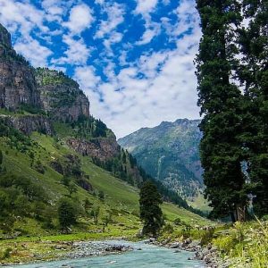 Aru Valley brown chinar kashmir