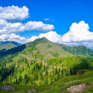 Best Travel Agency in Kashmir – Explore Paradise with Brown Chinar Kashmir Tour & Travels