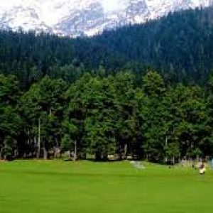 Baisaran Valley, Pahalgam_brown_chinar_kashmir