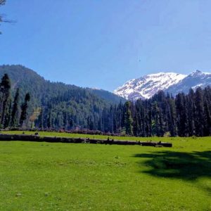 Baisaran_Valley-Pahalgam_brown_chinar_kashmir