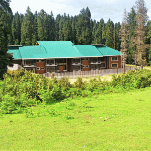 Best Hotels in Doodhpathri brown chinar kashmir