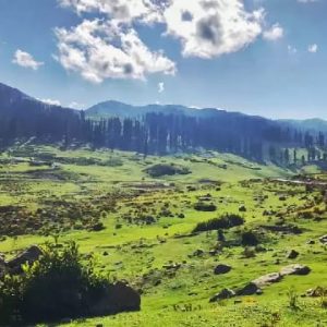 How to Reach Gulmarg from Srinagar
