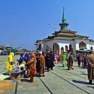 Charar e Sharief Shrine brown chinar kashmir
