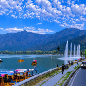 Tour Operator in Kashmir Services