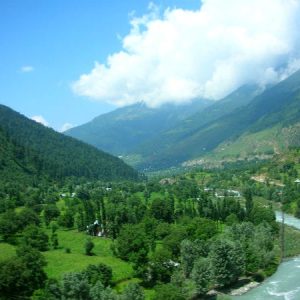 Chatpal Kashmir brown chinar kashmir