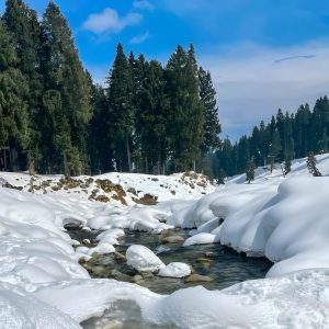 Doodhpathri kashmir brown chinar kashmir 2