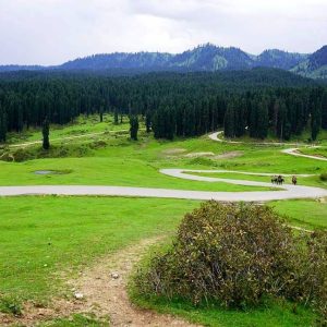 Doodhpathri kashmir brown chinar kashmir