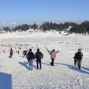 Gulmarg Snow Festival_brown_chinar_kashmir