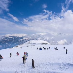 Gulmarg_brown_chinar_kashmir