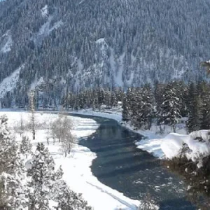 Gurez-valley-in-winter_brown_chinar_kashmir