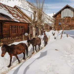 Gurez-valley-in-winter_brown_chinar_kashmir