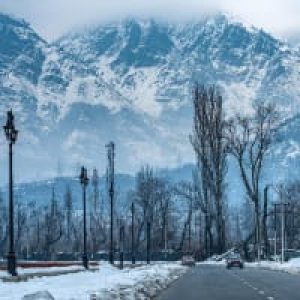 Gurez-valley_in-winter_brown_chinar_kashmir