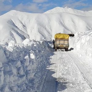 Gurez_valley-in-winter_brown_chinar_kashmir