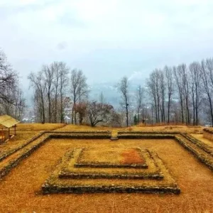 Harwan Garden brown chinar kashmir