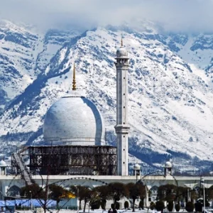 Hazratbal Shrine in Kashmir brown chinar kashmir 1