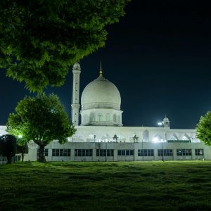 Hazratbal Shrine in Kashmir brown chinar kashmir