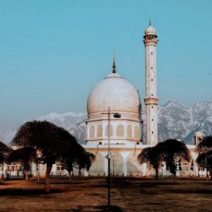 Hazratbal Shrine in Kashmir brown chinar kashmir