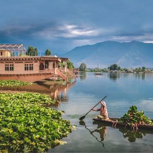 How Kashmiri Houseboats are Different from Kerala Houseboats brown chinar kashmir