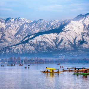 How to Plan Kashmir Tour in April brown chinar kashmir