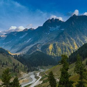 How_Many_Seasons_in_Kashmir_brown_chinar_kashmir