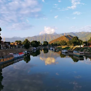 How_to-Reach_Srinagar_from_Delhi_brown_chinar_kashmir