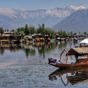 How_to_Reach_Srinagar_from_Delhi_brown_chinar_kashmir