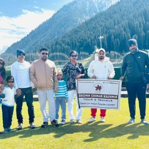 Brown Chinar Kashmir Tour and Travels