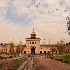 Jamia Masjid in Kashmir brown chinar kashmir