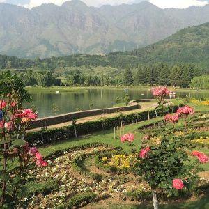 Jawaharlal Nehru Memorial Botanical Garden brown chinar kashmir