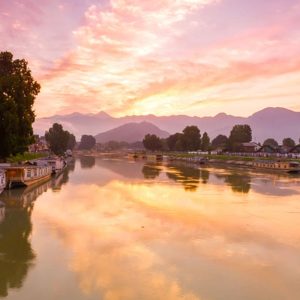 Jhelum River brown chinar kashmir