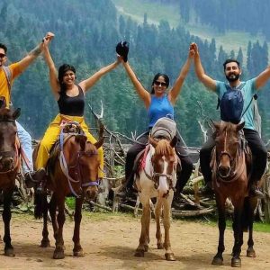 Kashmir_Horse-Ride-Destinations_brown_chinar_kashmir