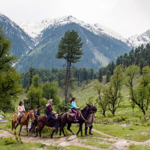 Kashmir_Horse_Ride-Destinations_brown_chinar_kashmir