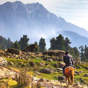 Kashmir_Horse_Ride-Destinations_brown_chinar_kashmir