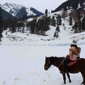 Kashmir_Horse_Ride_Destinations_brown_chinar_kashmir