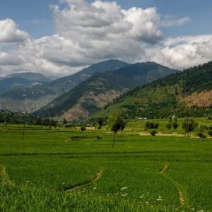 Kashmir Tour Packages from Delhi