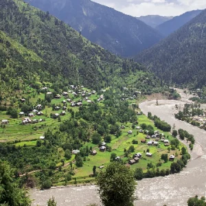 Keran Valley brown chinar kashmir