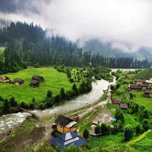 Keran Valley brown chinar kashmir