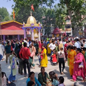 Kheer Bhawani Mela in Kashmir brown chinar kashmir