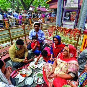 Kheer Bhawani Mela in Kashmir brown chinar kashmir