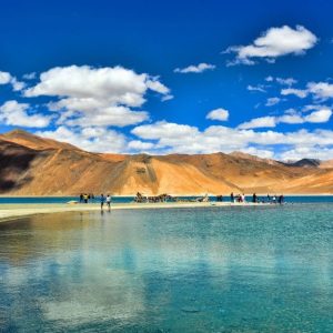 Ladakh-kashmir_brown_chinar_kashmir