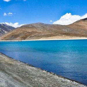 Ladakh_kashmir_brown_chinar_kashmir