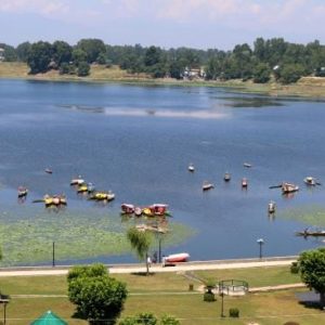 Manasbal Lake brown chinar kashmir 1