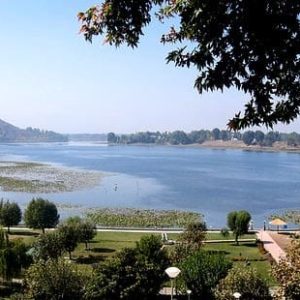 Manasbal Lake brown chinar kashmir