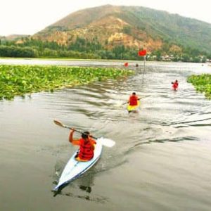 Manasbal Lake brown chinar kashmir