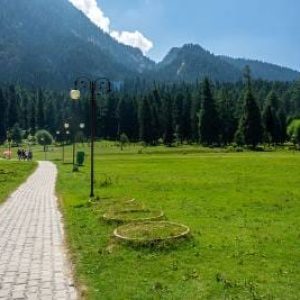 Mini Switzerland Kashmir brown chinar kashmir
