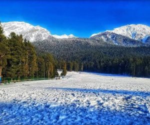 Mini Switzerland Kashmir brown chinar kashmir