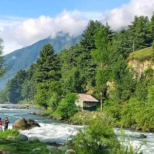 Offbeat-Places_in-Kashmir_brown_chinar_kashmir