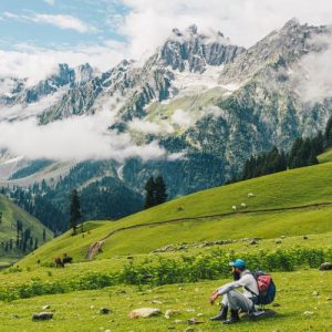 Offbeat_Places_in-Kashmir_brown_chinar_kashmir