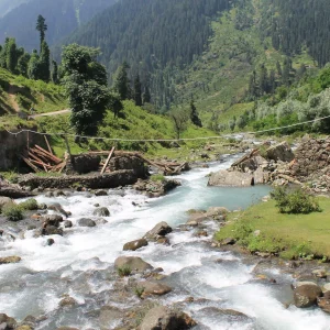 Pahalgam-Sight-seeing_brown_chinar_kashmir