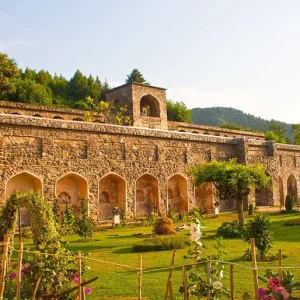 Pari Mahal brown chinar kashmir